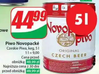 Dino Piwo Novopacké Czeskie Piwa 5l oferta