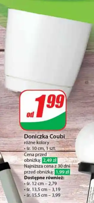 Dino Doniczka Coubi oferta