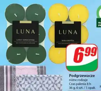 Dino Podgrzewacze 6szt. oferta