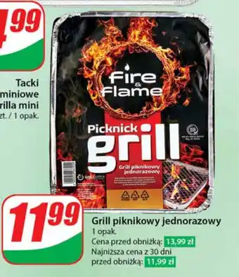 Dino Grill piknikowy jednorazowy oferta