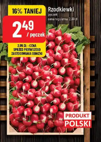 Polomarket Rzodkiewki oferta