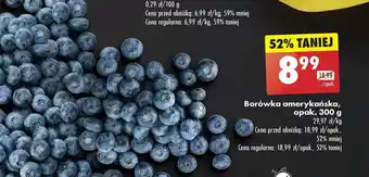 Biedronka Borówka amerykańska, opak. 300 g oferta