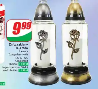 Dino Znicz oferta