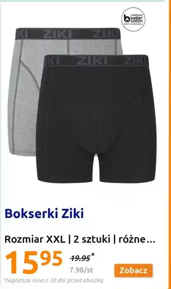 Action Bokserki Ziki Rozmiar XXL 2 szt. oferta