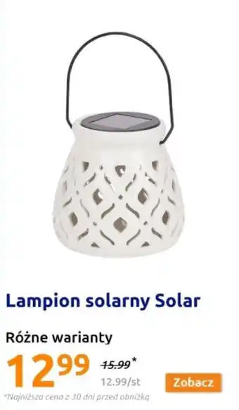 Action Lampion oferta