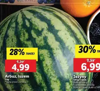 Lidl Arbuz, luzem 1 kg oferta