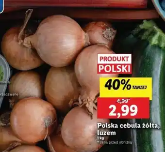 Lidl Polska cebula żółta, luzem 1 kg oferta