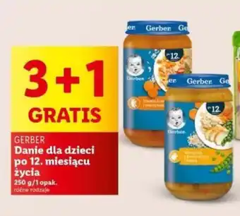 Lidl GERBER Danie dla dzieci po 12. miesiącu życia 250 g oferta