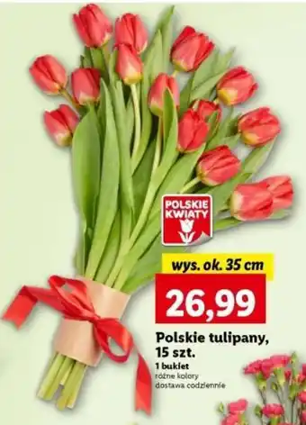 Lidl Polskie tulipany, 15 szt. oferta