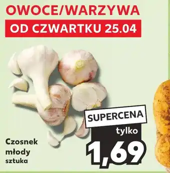 Kaufland Czosnek młody sztuka oferta