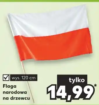 Flaga narodowa na drzewcu