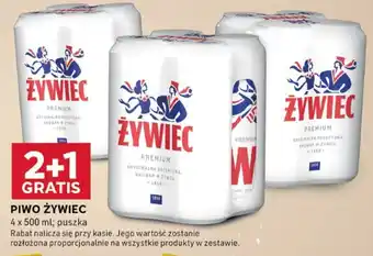 Stokrotka Optima PIWO ŻYWIEC 4x500ml oferta