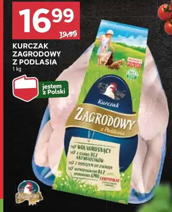 Stokrotka Kurczak Zagrodowy oferta