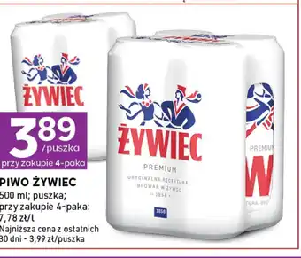 Stokrotka Express Piwo Żywiec oferta