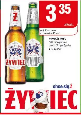 Chorten Piwo Żywiec oferta