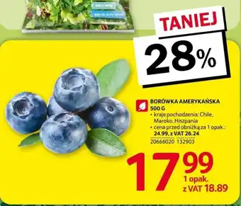 Selgros BORÓWKA AMERYKAŃSKA 500 G oferta