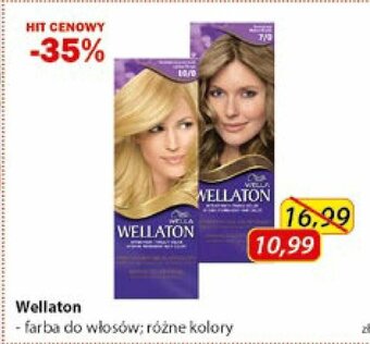 Drogeria Kosmyk Wellaton farba do włosów oferta