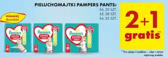 Biedronka PIELUCHOMAJTKI PAMPERS PANTS 25-30szt. oferta