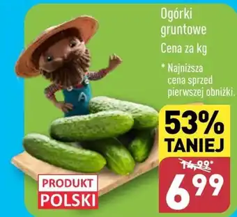 ALDI Ogórki Polski oferta