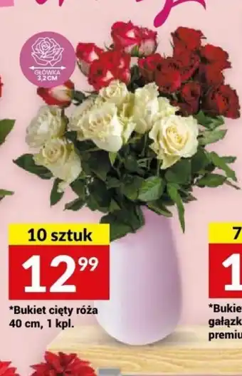 Twój Market Bukiet cięty róża 40 cm oferta