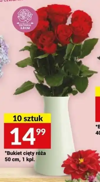 Twój Market Bukiet cięty róża 50 cm oferta