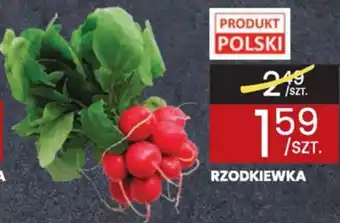 Wafelek RZODKIEWKA oferta