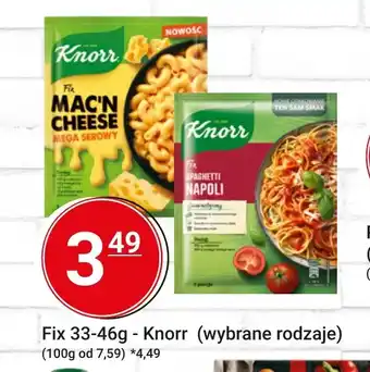 Hitpol Fix 33-46g - Knorr (wybrane rodzaje) oferta