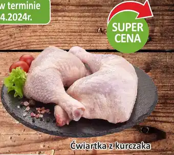 Passa Ćwiartka z kurczaka oferta