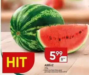 Chata Polska Arbuz Chata polska oferta