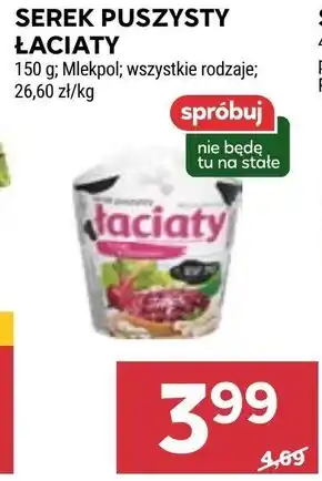 Stokrotka Serek Łaciaty oferta