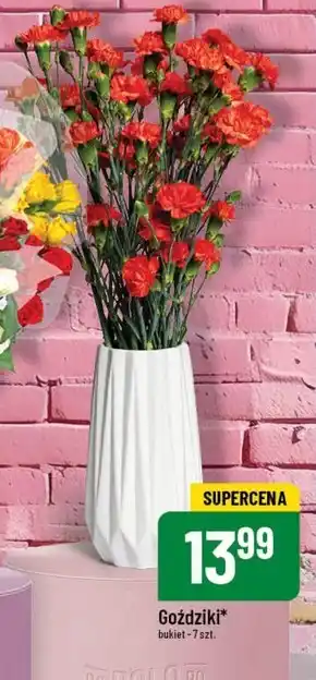 Polomarket Goździki oferta