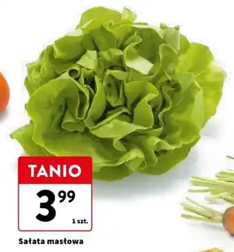 Intermarche Sałata masłowa 1szt. oferta