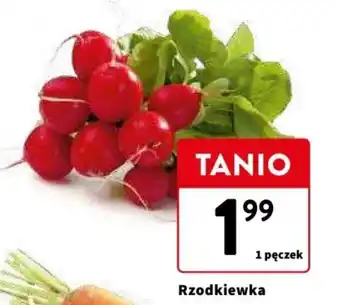 Intermarche Rzodkiewka 1 pęczek oferta