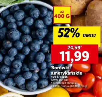 Lidl Borówki amerykańskie 400g oferta