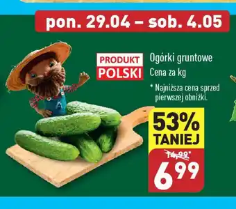 ALDI Ogórki gruntowe 1 kg oferta