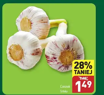 ALDI Czosnek oferta
