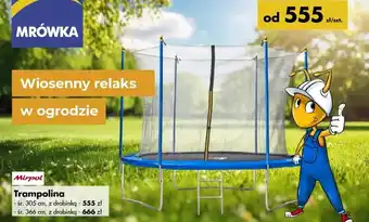 Mrówka Trampolina Mirpol oferta