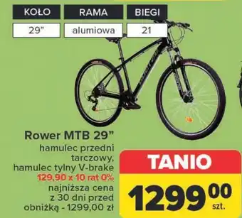 Carrefour Rower Rama oferta