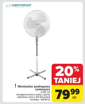 Carrefour Wentylator Esperanza oferta