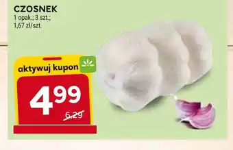 Stokrotka Market Czosnek oferta