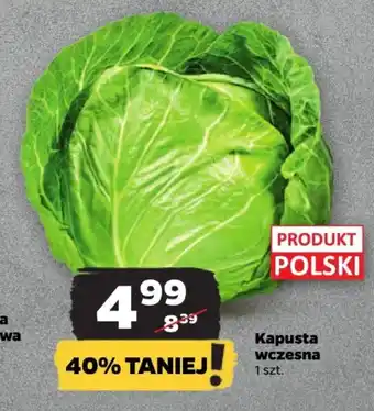 Netto Kapusta wczesna oferta