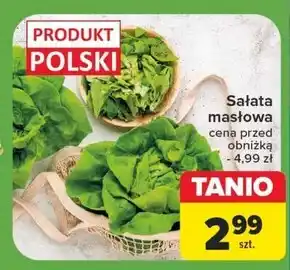 Carrefour Sałata masłowa Polski oferta