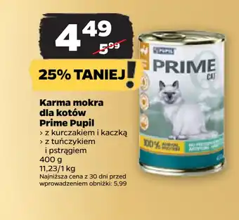 Netto Karma mokra dla kotów Prime Pupil oferta