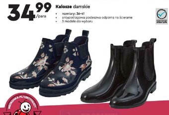 Biedronka Kalosze damskie oferta