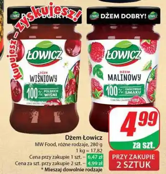 Dino Dżem Łowicz MW Food 280 g oferta