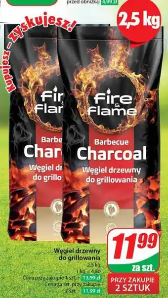 Dino Węgiel drzewny do grillowania 2.5 kg oferta