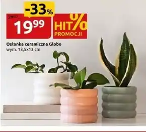 Black Red White Osłonka globo oferta