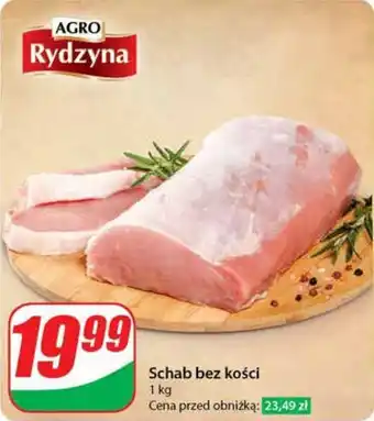 Dino Schab bez kości 1 kg oferta