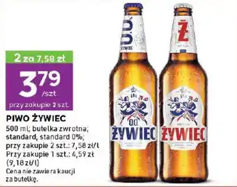 Stokrotka PIWO ŻYWIEC 500 ml oferta