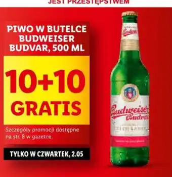 Lidl PIWO W BUTELCE BUDWEISER BUDVAR 500 ML oferta